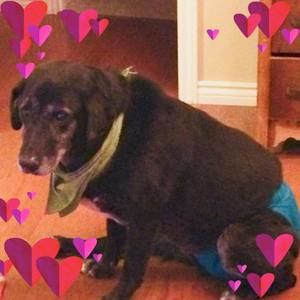 Meet your Posher, Lori